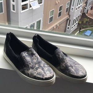Snakeskin Shoes